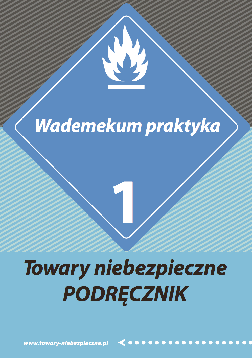 Wademekum Praktyka Towary Niebezpieczne Podr Cznik